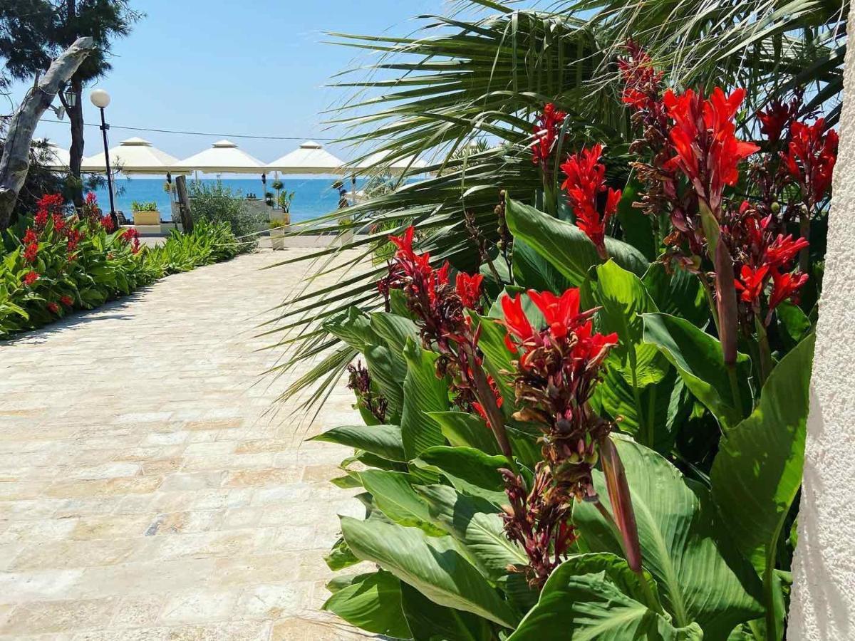 Apartments Kuce Lekovica Beach & Snack Bar- Bistro 외부 사진