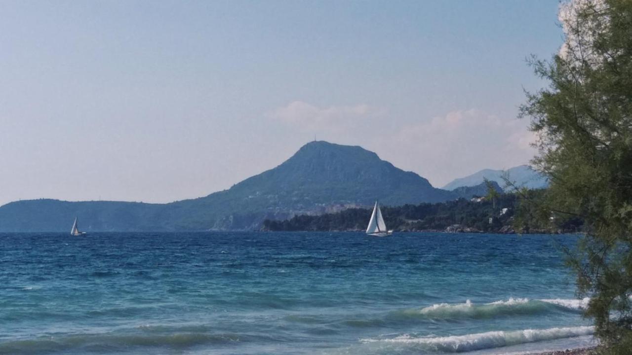 Apartments Kuce Lekovica Beach & Snack Bar- Bistro 외부 사진